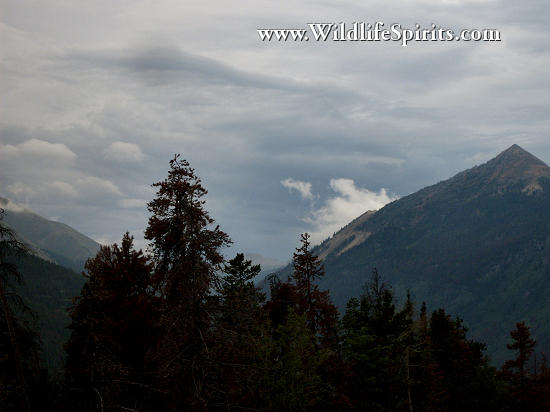 Click Picture to send as an  E-PostCard 65k 550x412